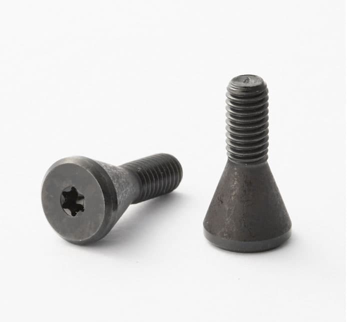 TORX® SCREW