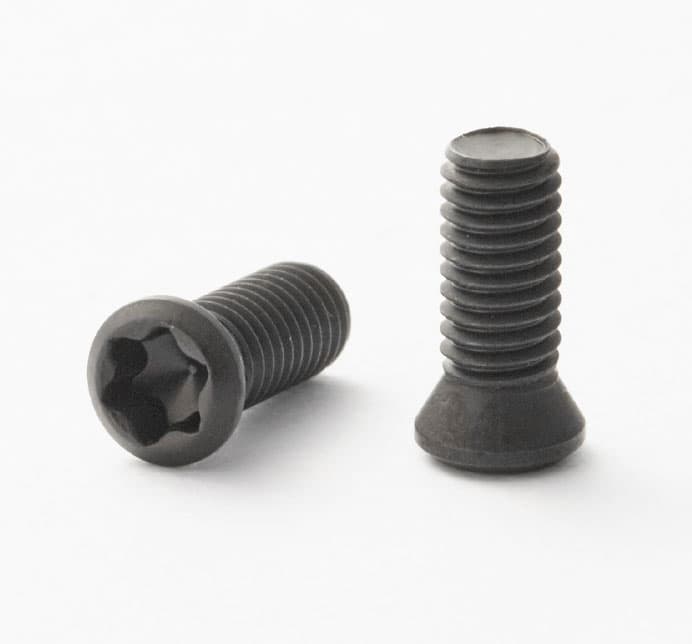 TORX PLUS® SCREW